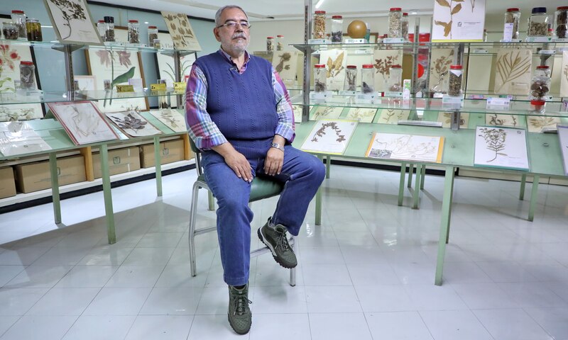 El científico Dr. Juan Pérez estudia una planta en el herbario de la Universidad de Sevilla.