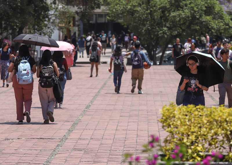 Estudiantes universitarios caminan por el campus en un día soleado