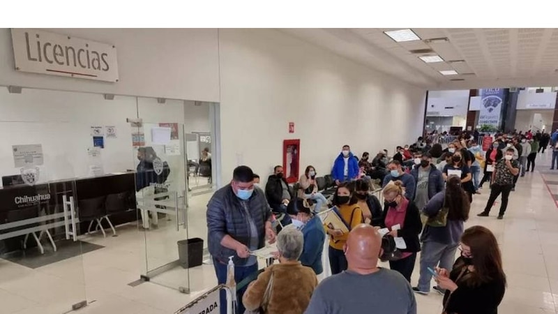 Larga fila de personas en espera de licencia en Chihuahua