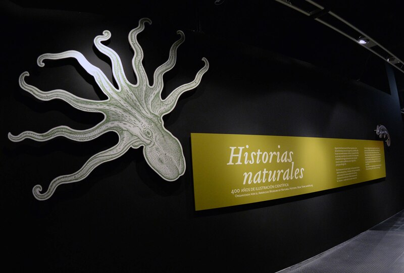 Historia natural